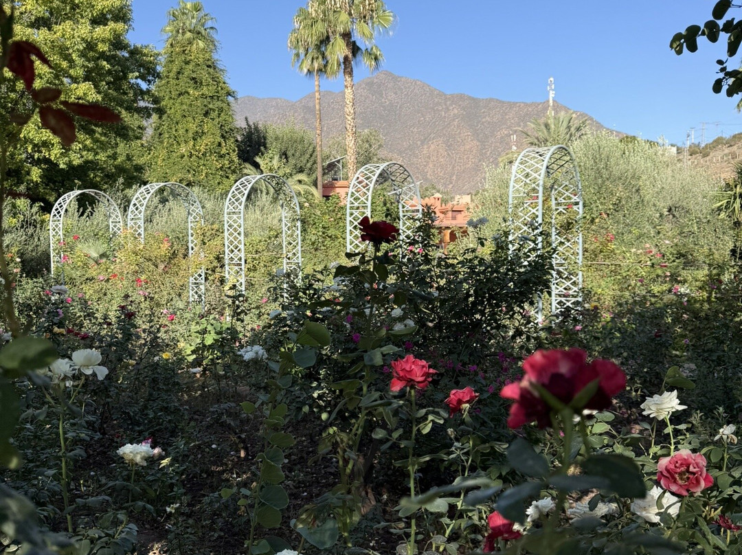 Domaine De La Roseraie主图