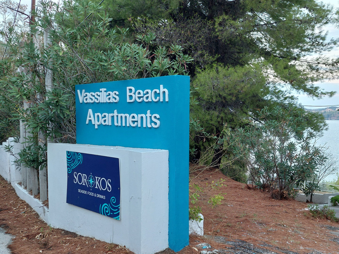 Vassilias Beach Hotel主图