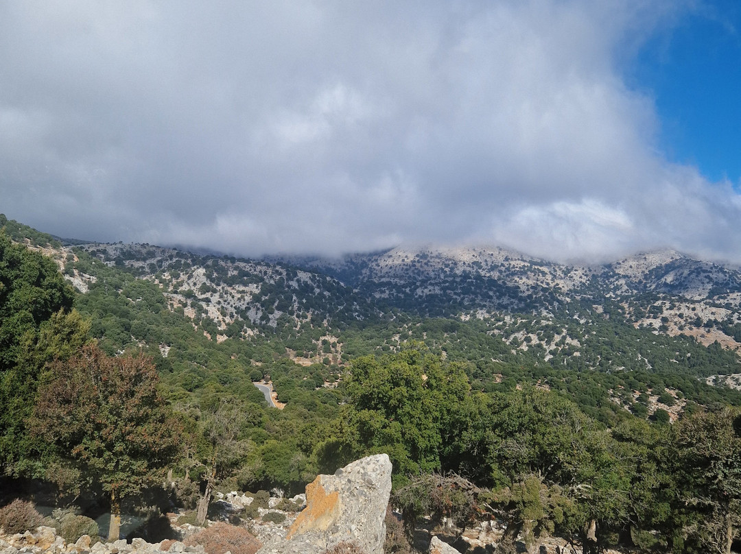 Go Crete Safari-马利亚必去景点