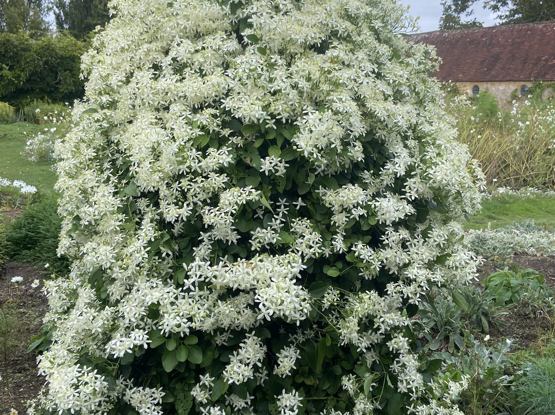 Barrington Court-Ilminster必去景点