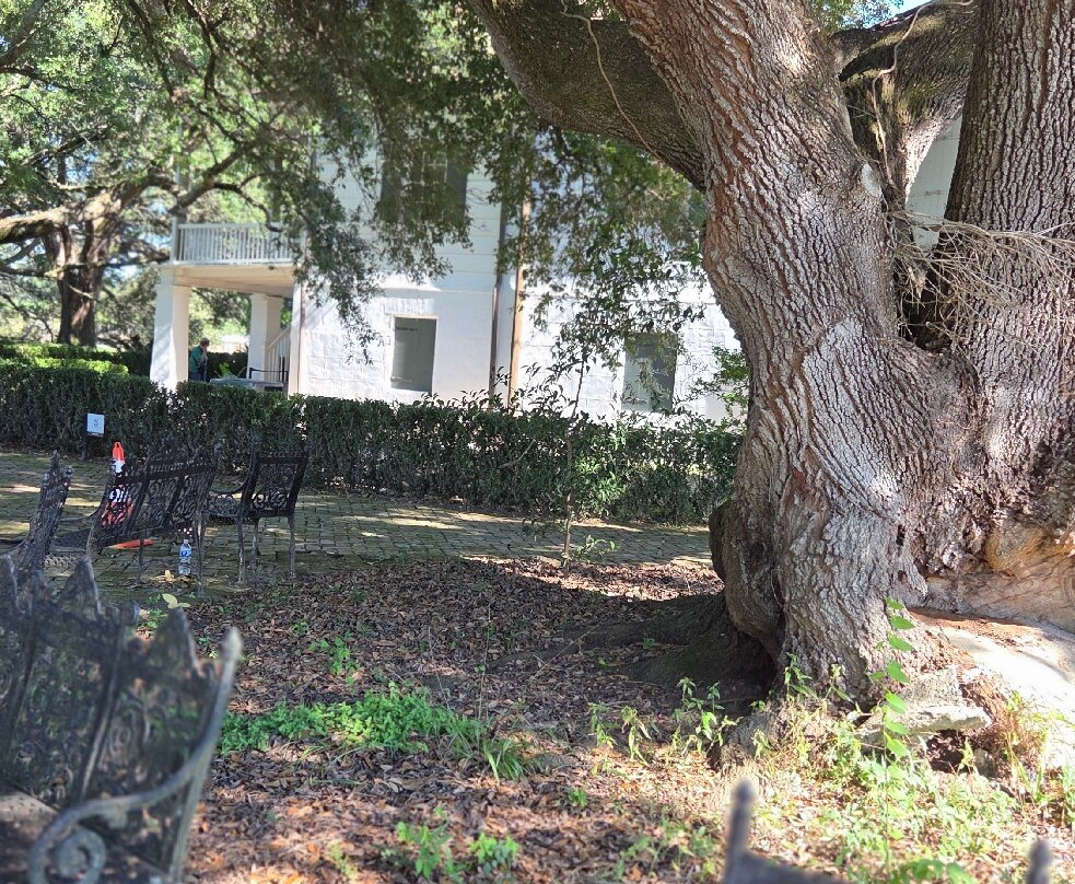 Tours by Isabelle-新奥尔良必去景点