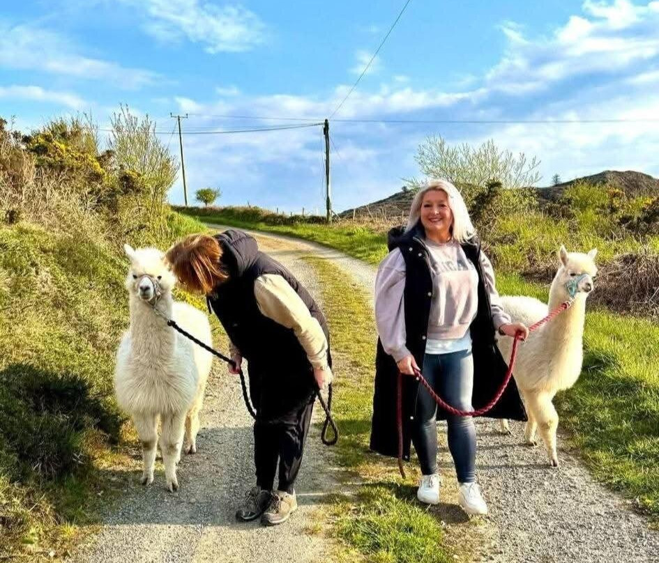 Short & Sweet Alpaca Retreat
