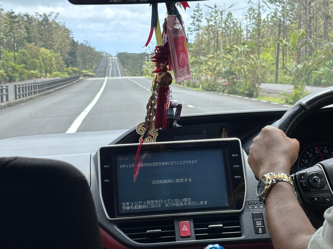 Mauritius Taxi & Tour Service-毛里求斯必去景点