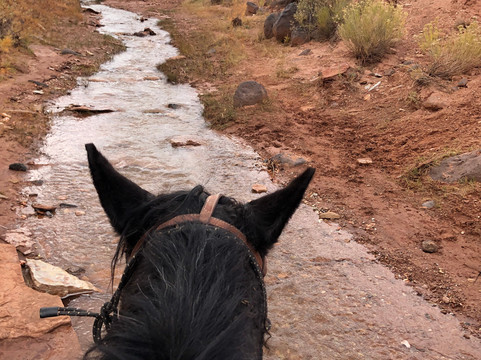 Wilderness Ridge Adventures-托里必去景点