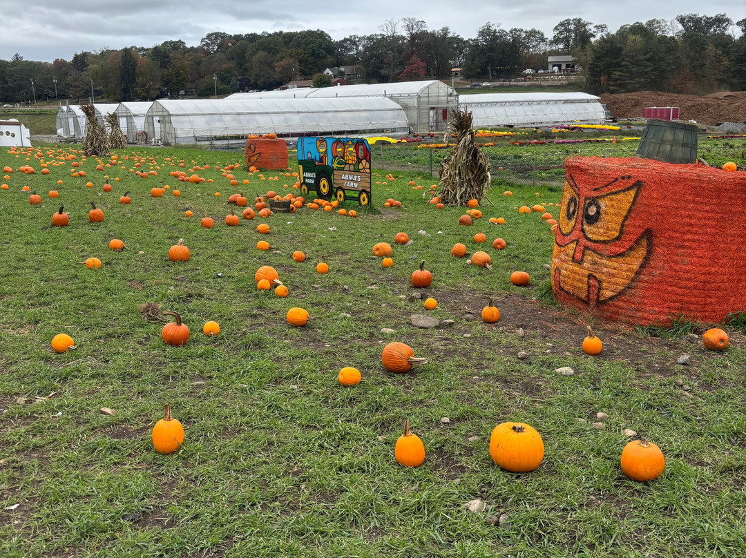 Abma's Farm-Wyckoff必去景点