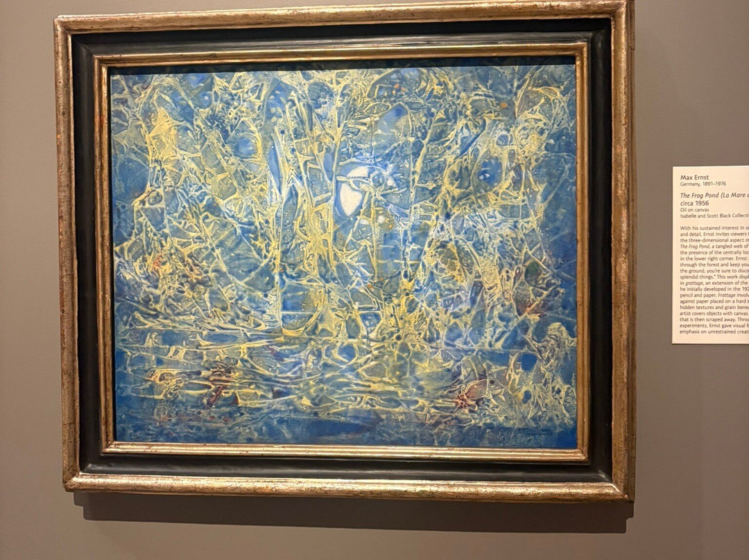 Portland Museum of Art-波特兰必去景点