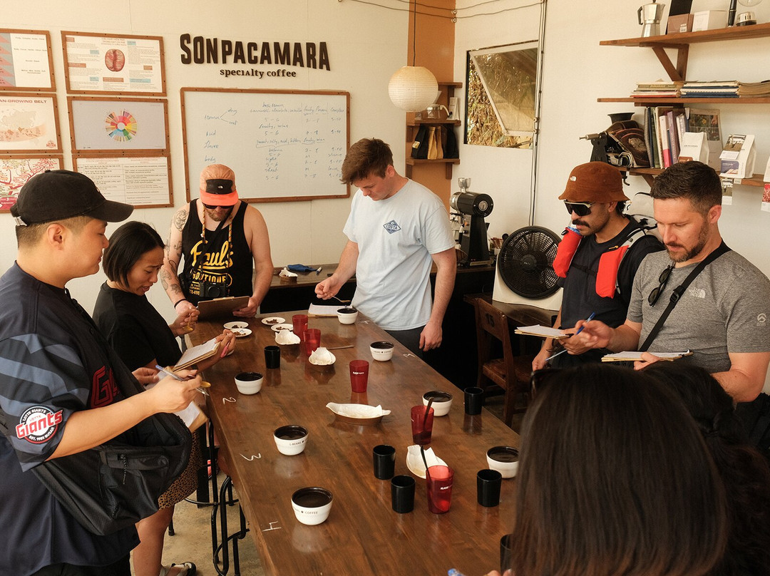 Son Pacamara Coffee Farm Experience-大勒必去景点