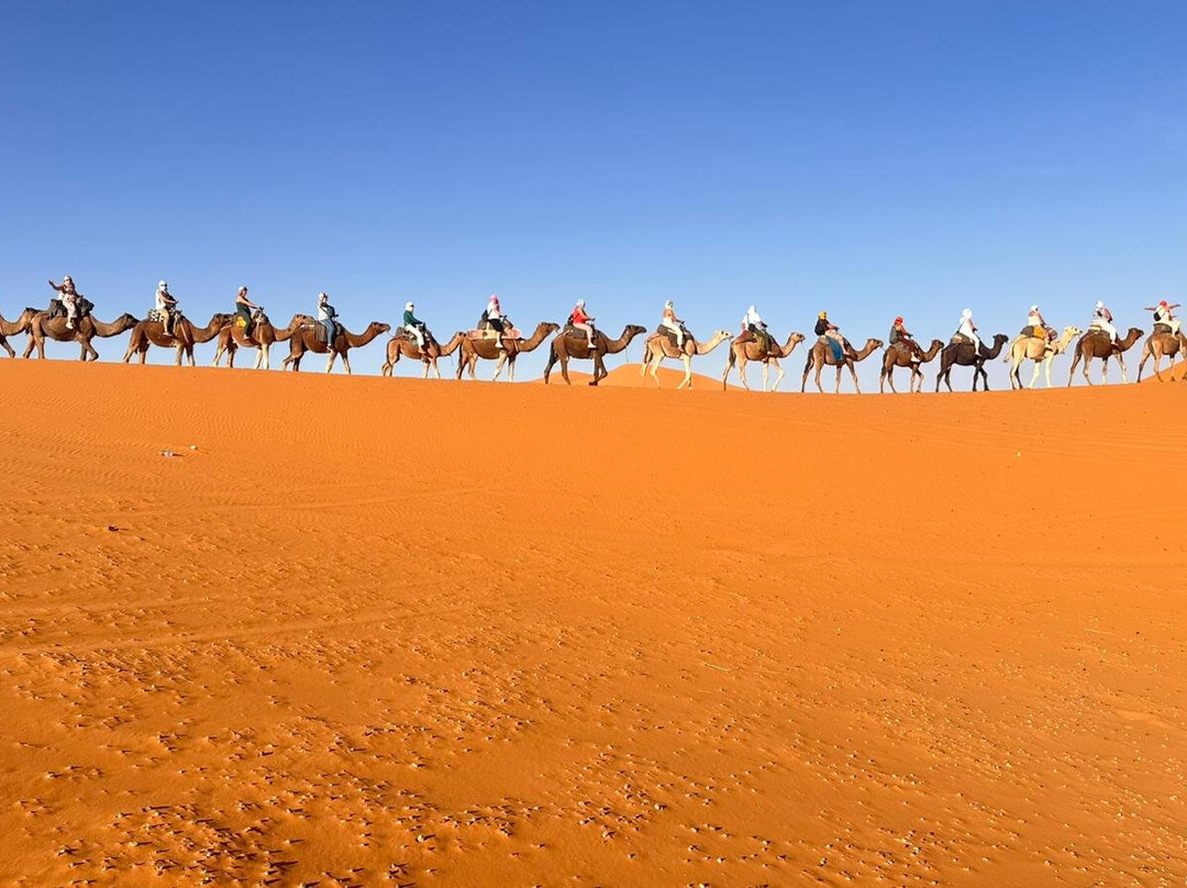 Sunshine Morocco Tours-马拉喀什必去景点