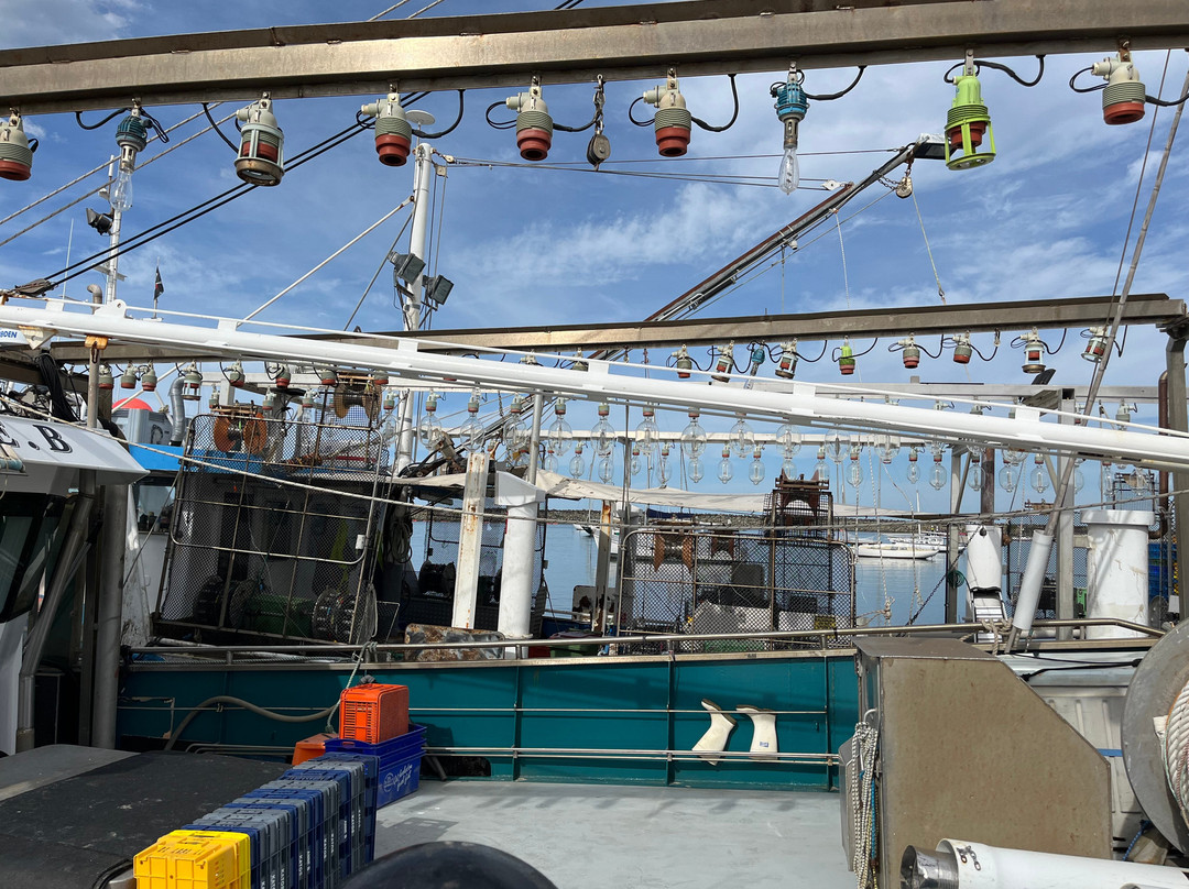 Apollo Bay Harbour-阿波罗湾必去景点