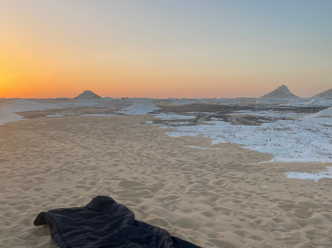 white desert travel-Bahariya Oasis必去景点