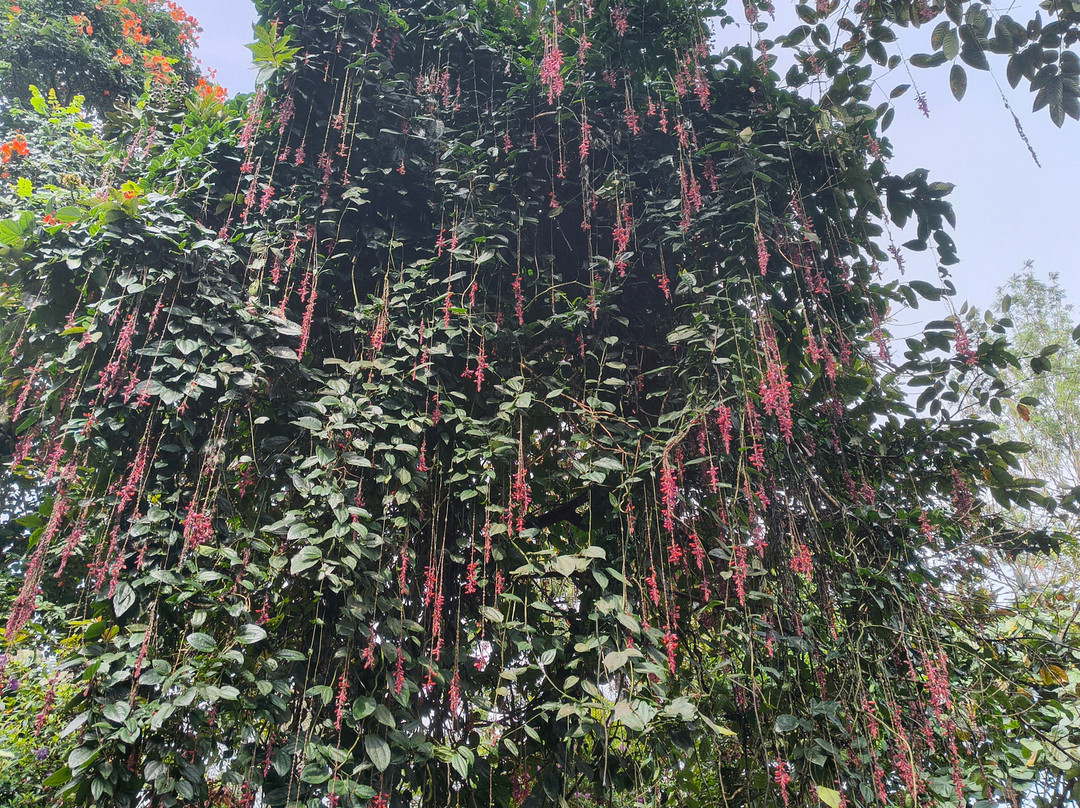 Stream Garden Mountain Resort主图