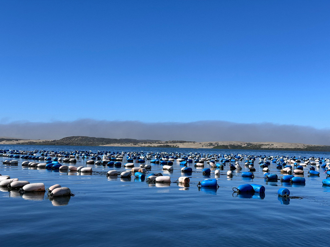 Central Coast Outdoors-莫罗贝必去景点