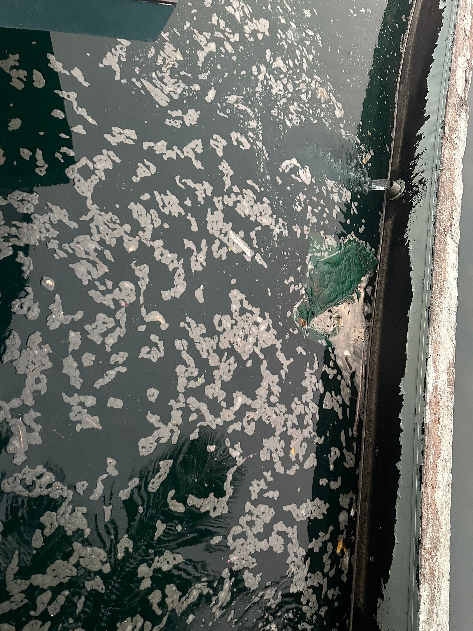 Neonz Resort & Club-官方