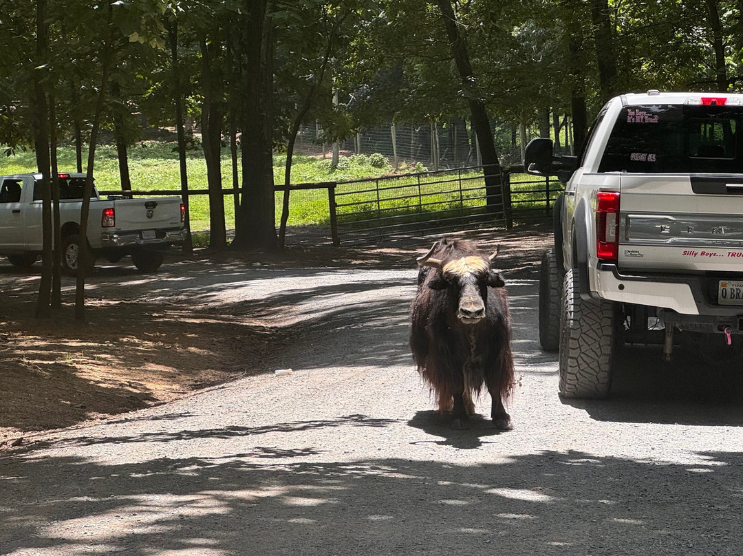 弗吉尼亚游猎公园-天然桥必去景点