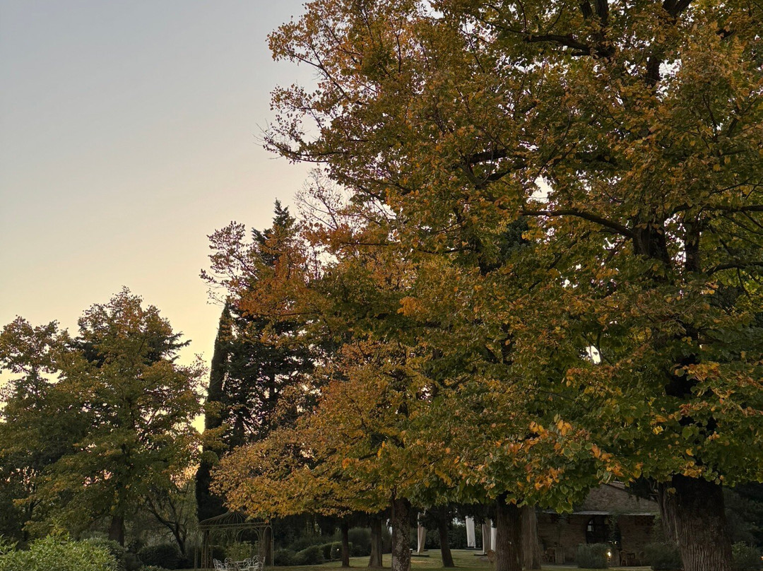 Scuola di Cucina Fonte de Medici-Montefiridolfi必去景点