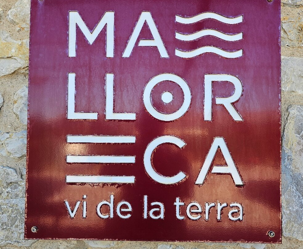 Bodegas Can Vidalet-Pollenca必去景点