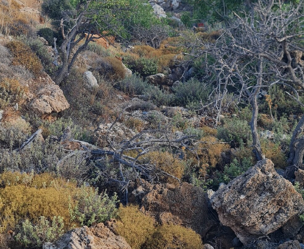 Tomb of Kleoboulos-林多斯必去景点