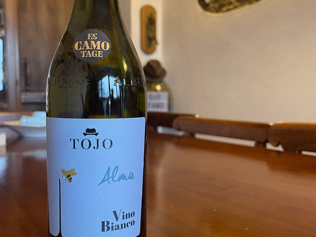 TOJO-Santo Stefano Belbo必去景点