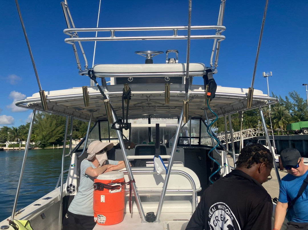 Neal Watson's Bimini Scuba Center-Alice Town必去景点