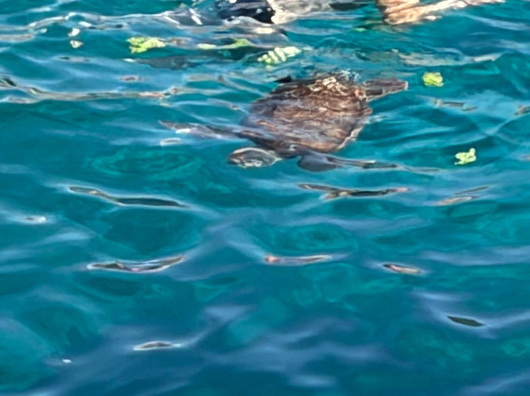 Blue Lagoon-阿依纳帕必去景点