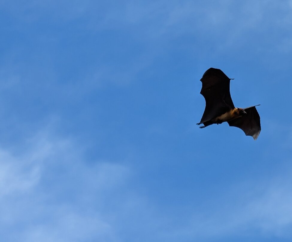 Risi Travels-加勒必去景点