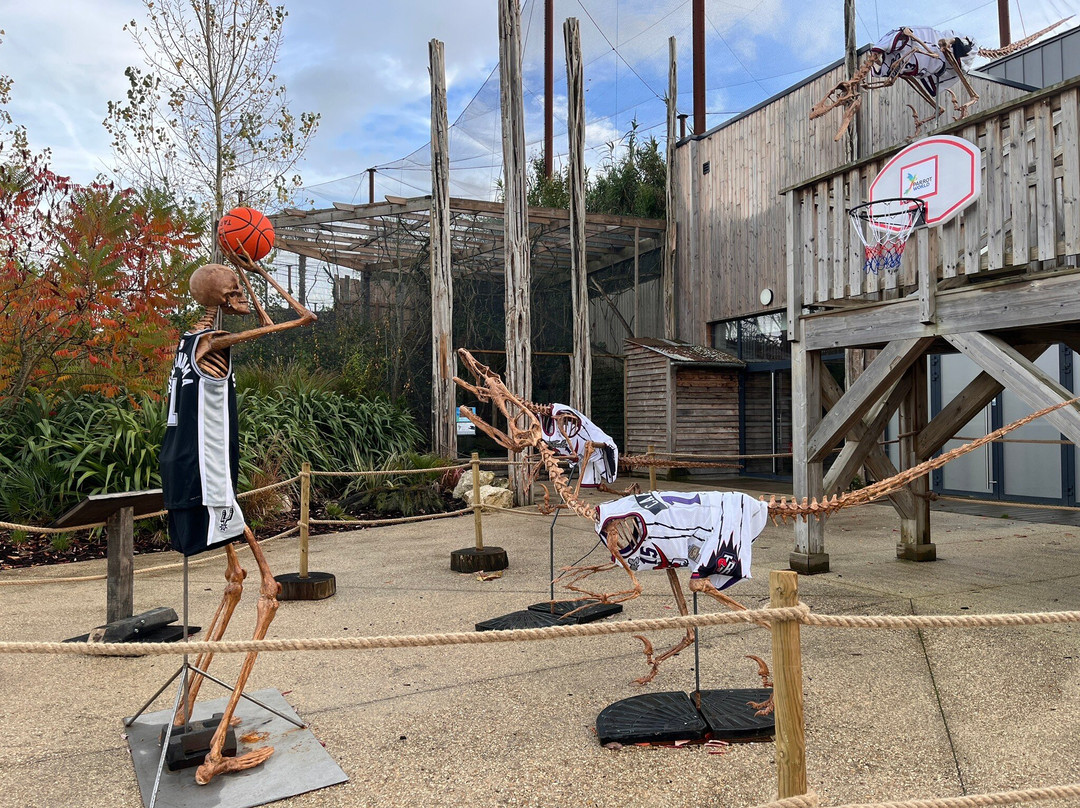 Parrot World-Crecy-la-Chapelle必去景点