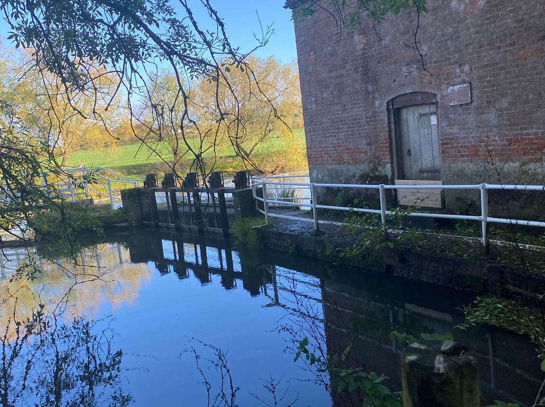 Sturminster Newton Mill-Sturminster Newton必去景点