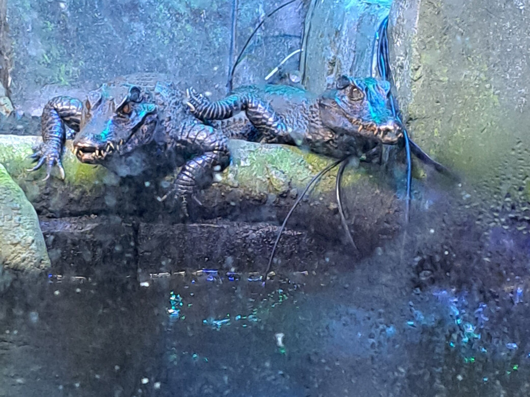 SEA LIFE Hunstanton-Hunstanton必去景点