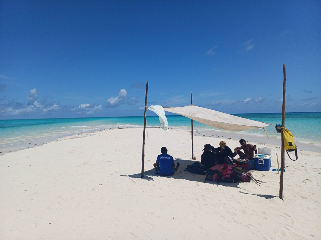 Safari Shwari Mafia Island-Utende必去景点