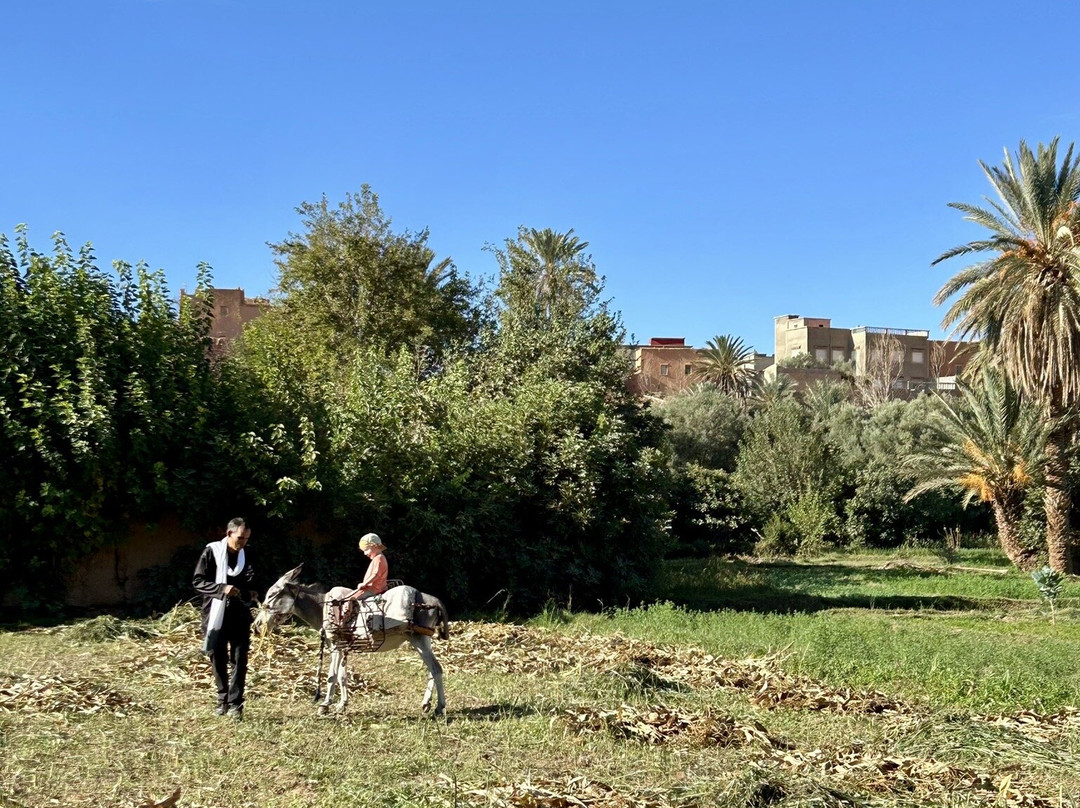 Abdel - Guide Randonnees a Tinghir-廷吉尔必去景点