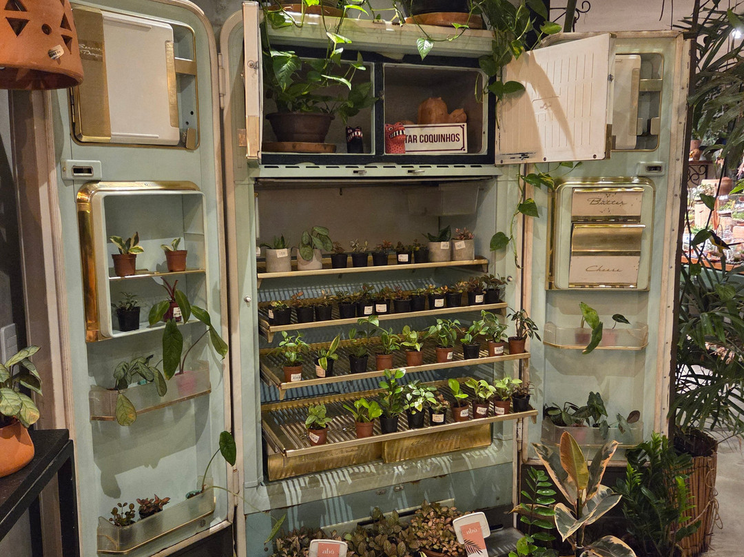 Ville Des Plantes Open Mall-Joao Pessoa必去景点