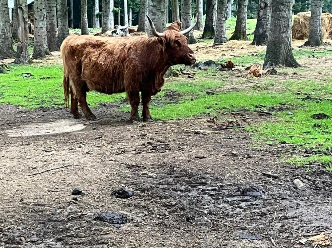 Oasi Delle Piane-Lama Mocogno必去景点