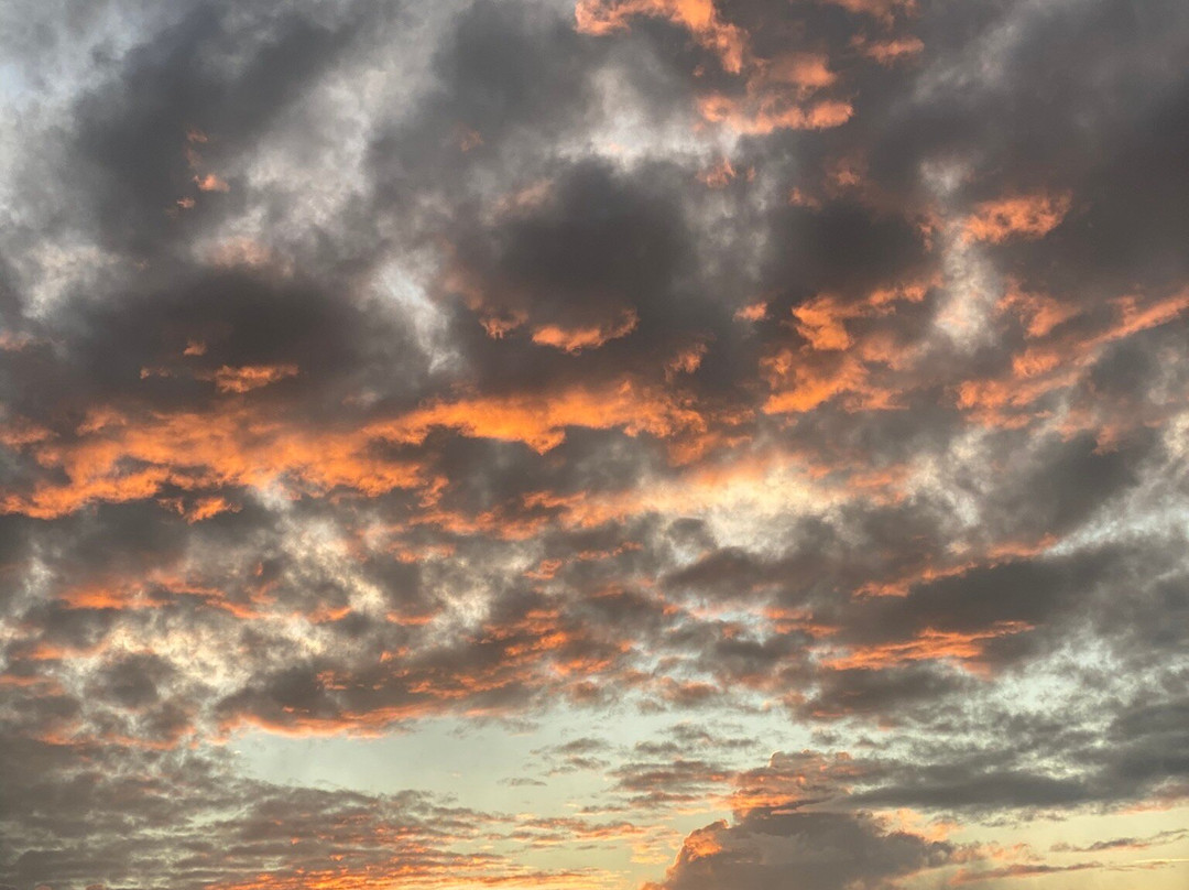 莫纳克亚山州游乐区-希洛必去景点