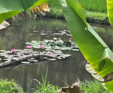 Guide Francophone à Bali - Madé B et équipes-沙努尔必去景点