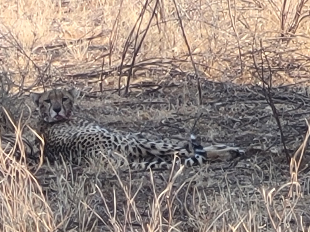 The Olmalaika Trust-Sekenani必去景点