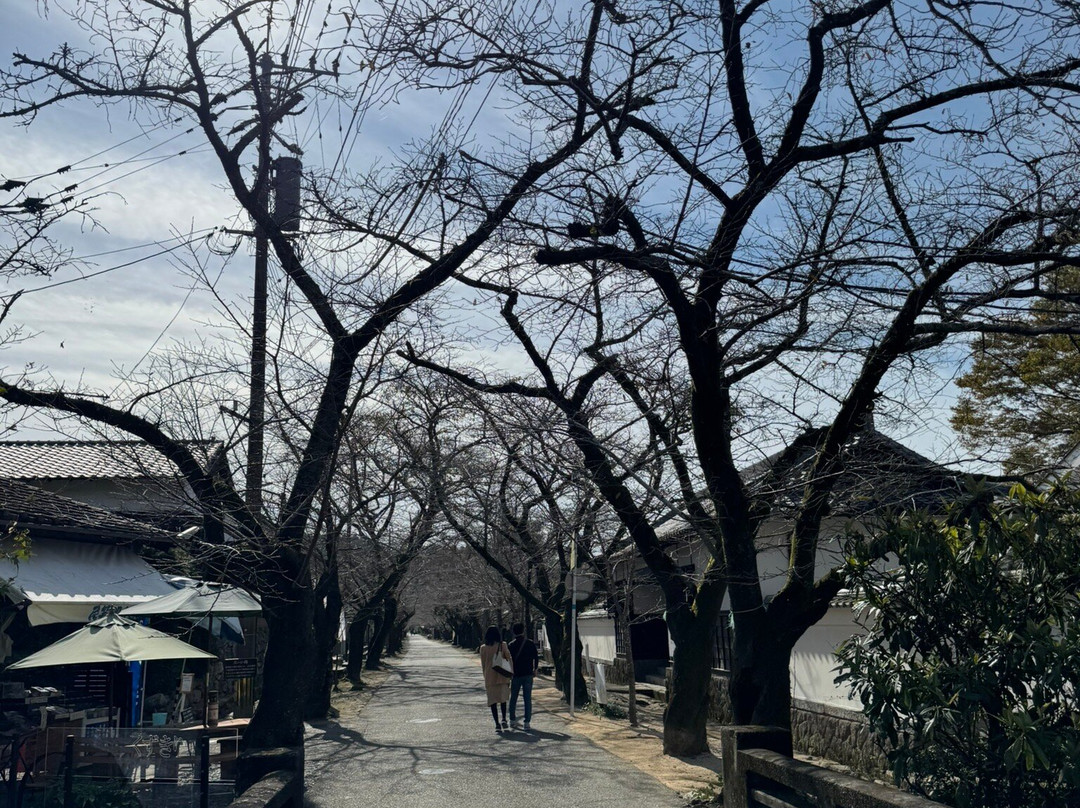 Akizuki  Art Museum-朝仓市必去景点