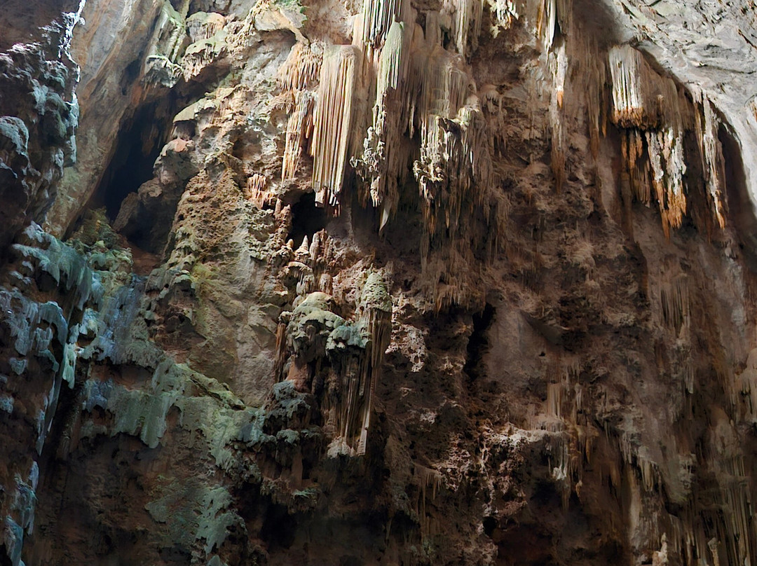Abismo Anhumas-博尼图必去景点