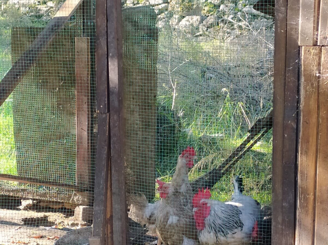 1774 Kazdagi Termal Butik Otel主图