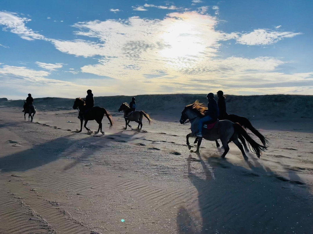 Eco Equus Cabalgatas-La Pedrera必去景点