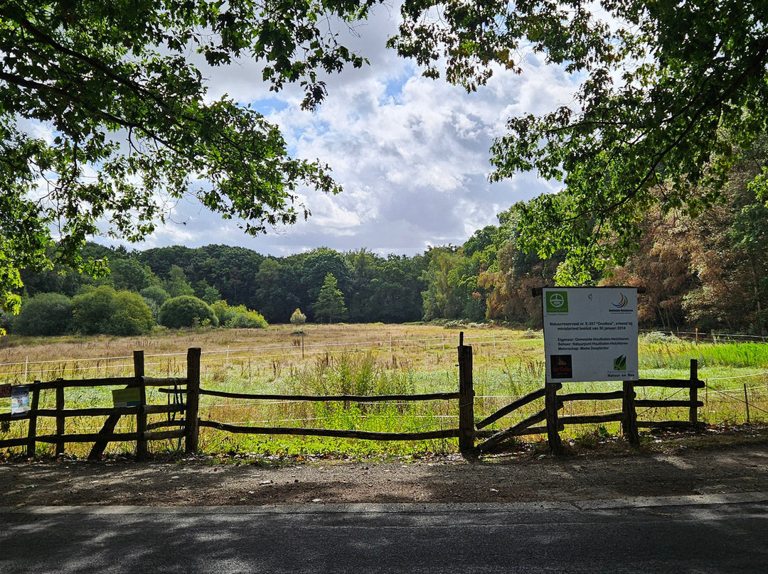 Ter Dolen-Houthalen必去景点