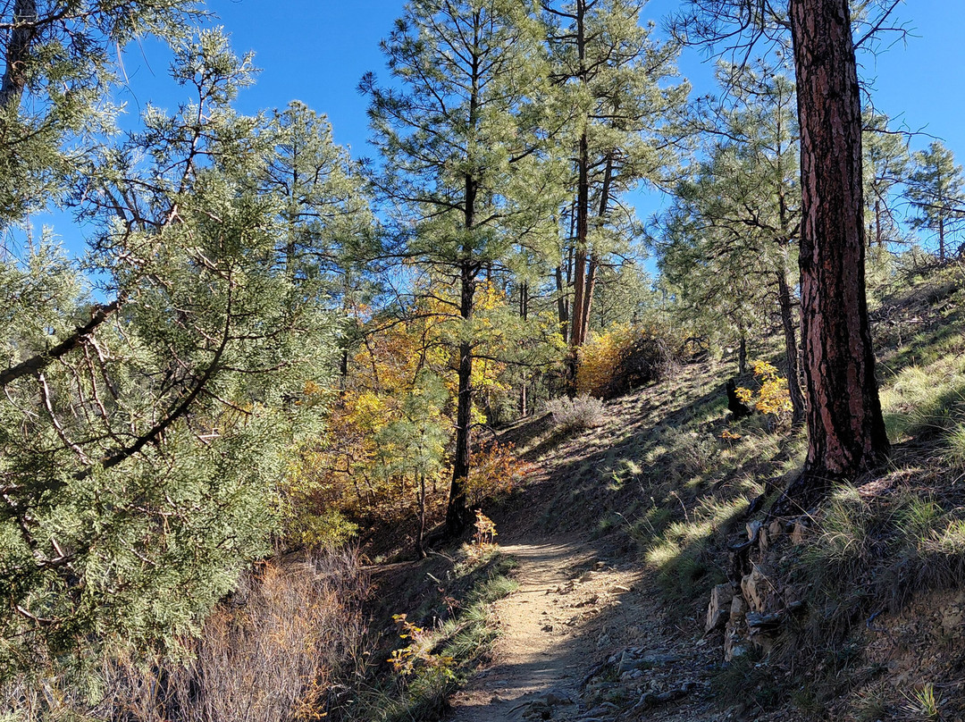 Lynx Lake Recreation Area-普雷斯科特必去景点