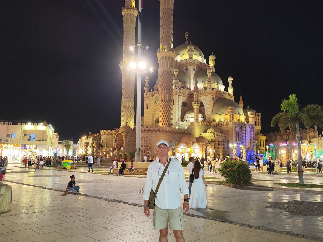 Joyce Tours Egypt-沙姆沙伊赫必去景点