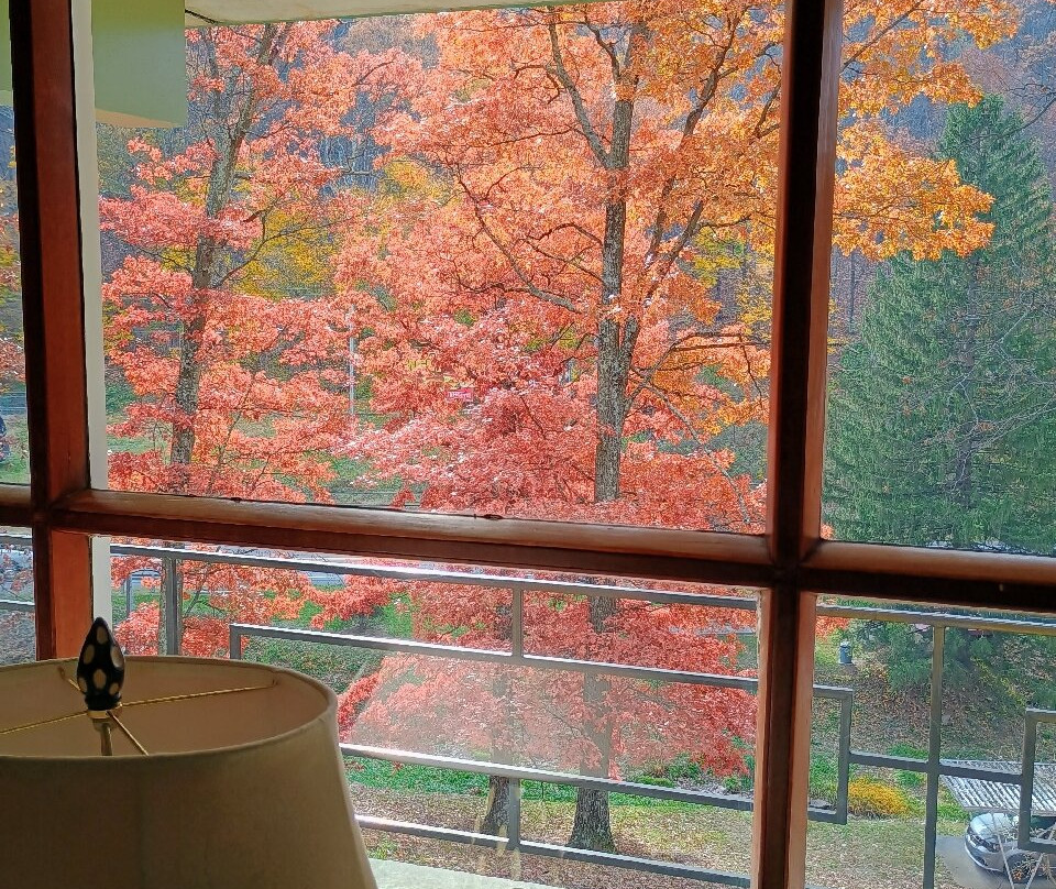 Koolwink Motel主图