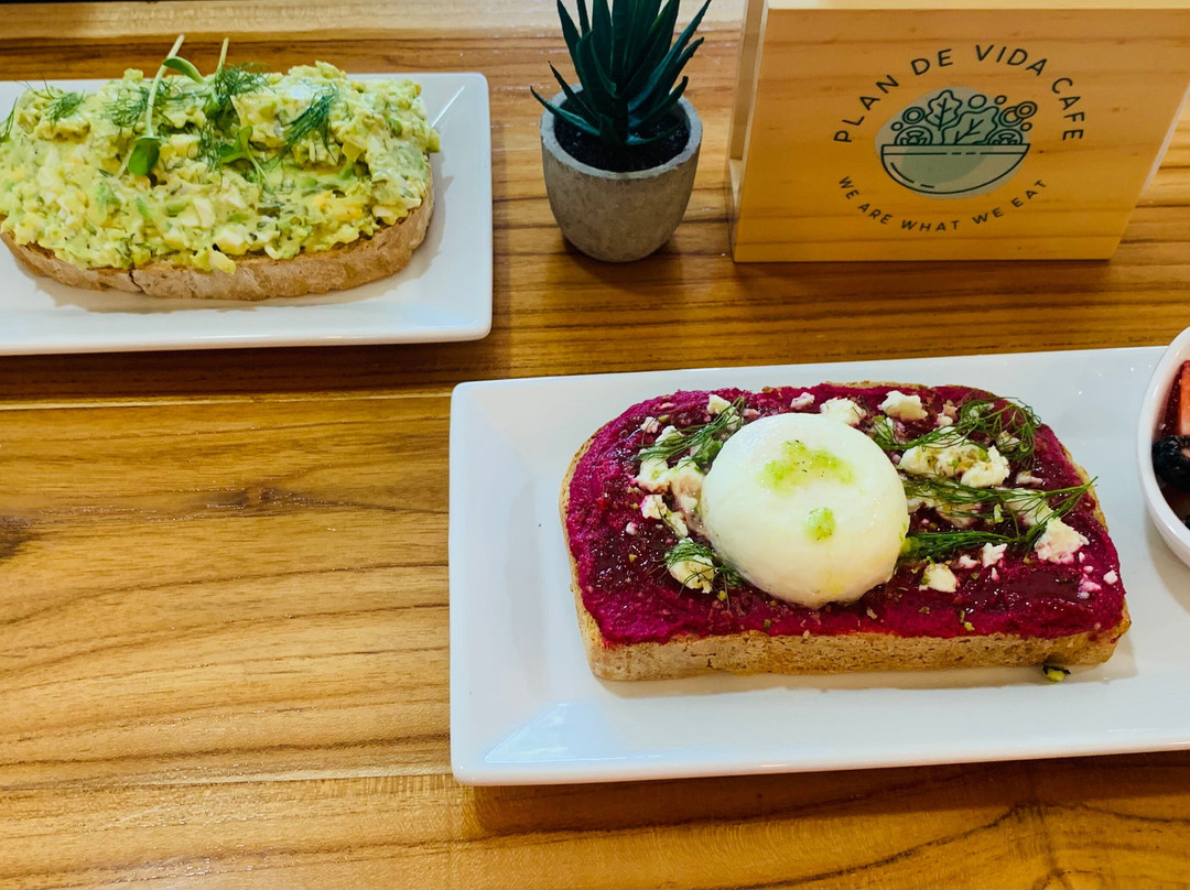 Plan De Vida Cafe