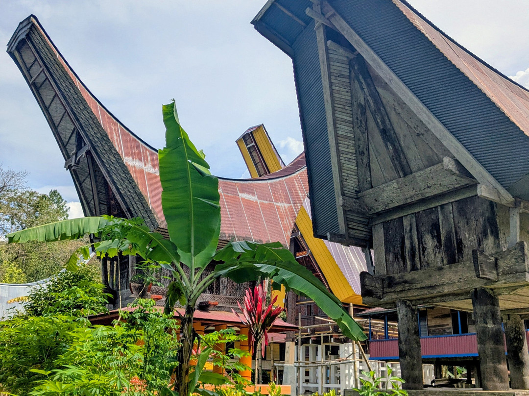 Toraja local guide-Tana Toraja必去景点