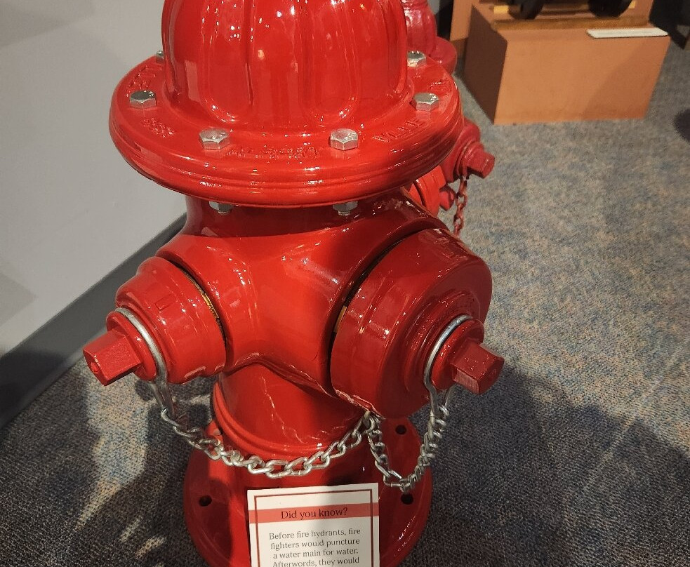 Hieronymus Mueller Museum-迪凯特必去景点