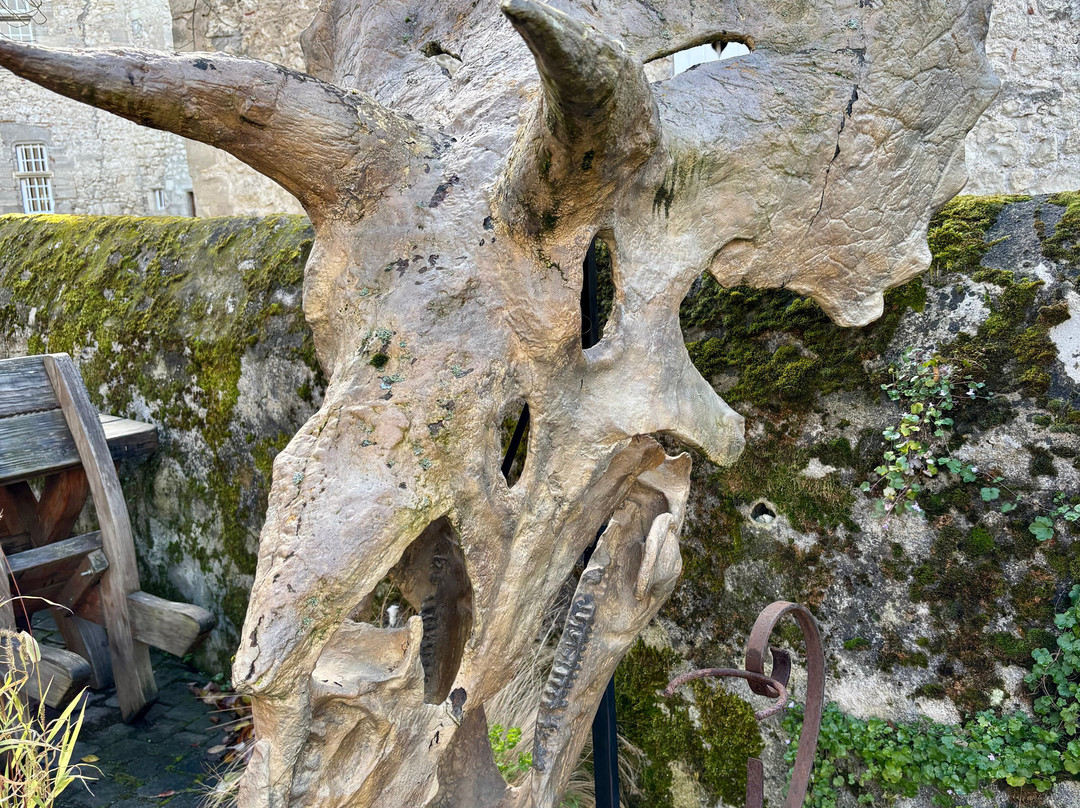 Atelier Galerie espace François LASSERE-Charroux必去景点