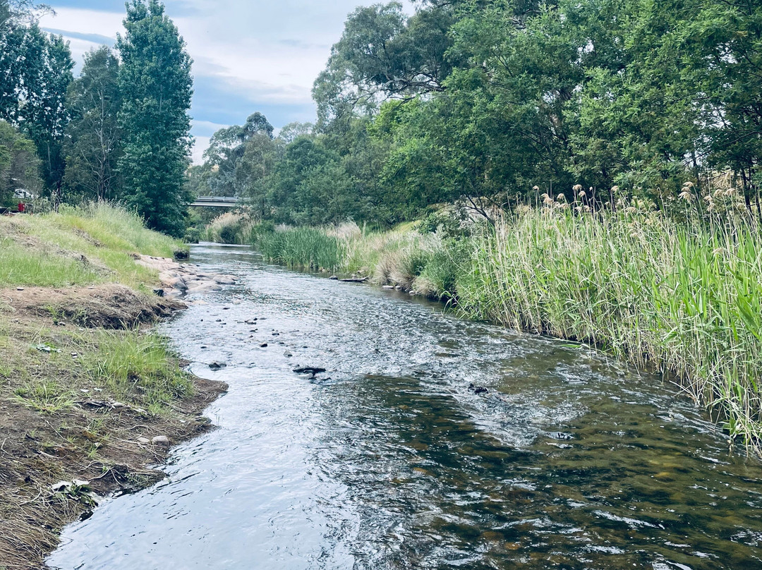 The Creek Playspace-Swifts Creek必去景点
