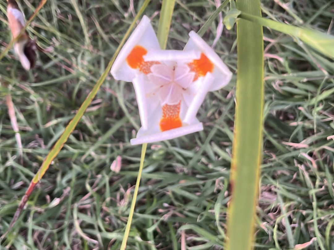 拉科帕茵海滩酒店主图