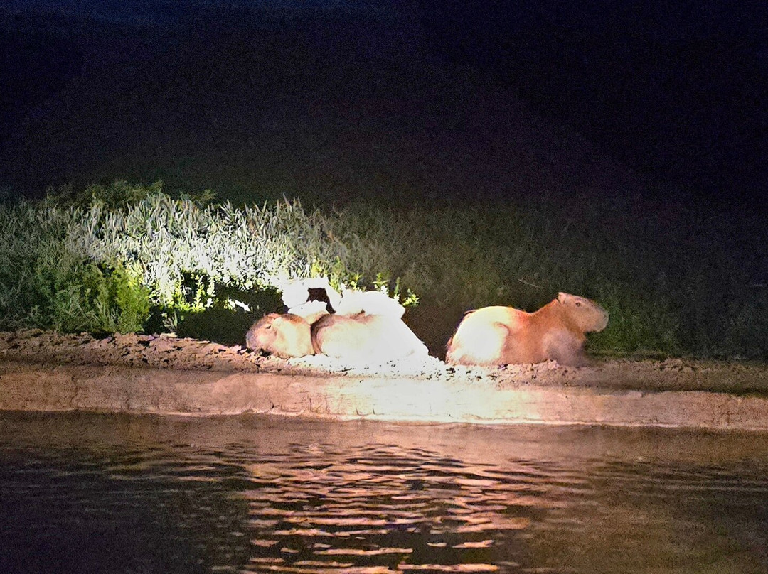 Eco Adventures Travel-大坎普市必去景点